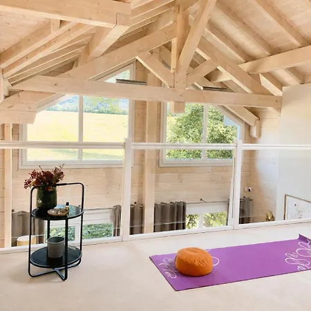 Modern Next To Geneva Chalet Divonne-les-Bains
